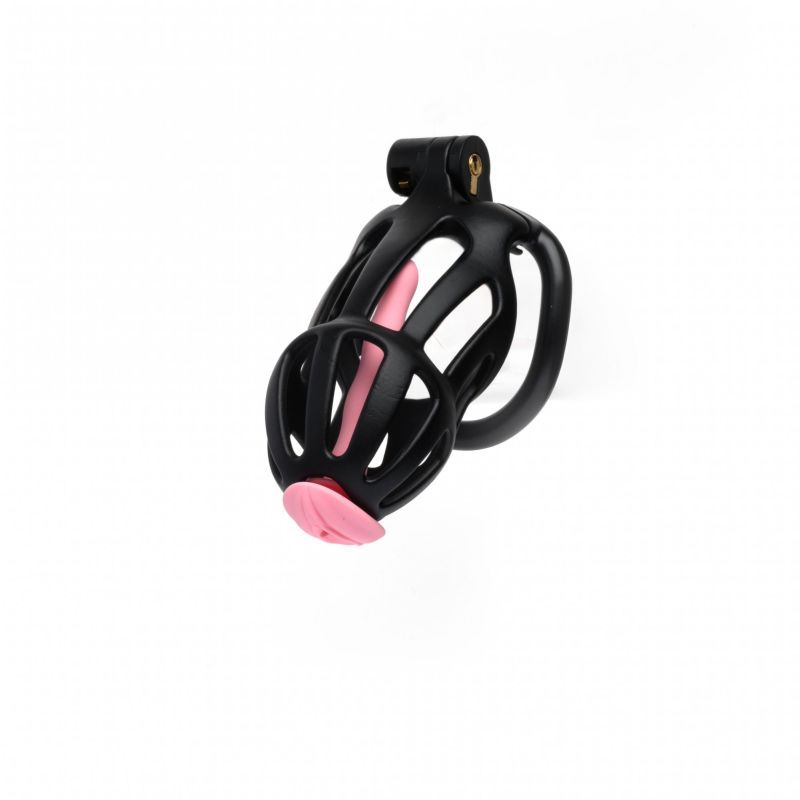 Centurion Size 2 Cock Cage with Pussification Plug - Adult Toys