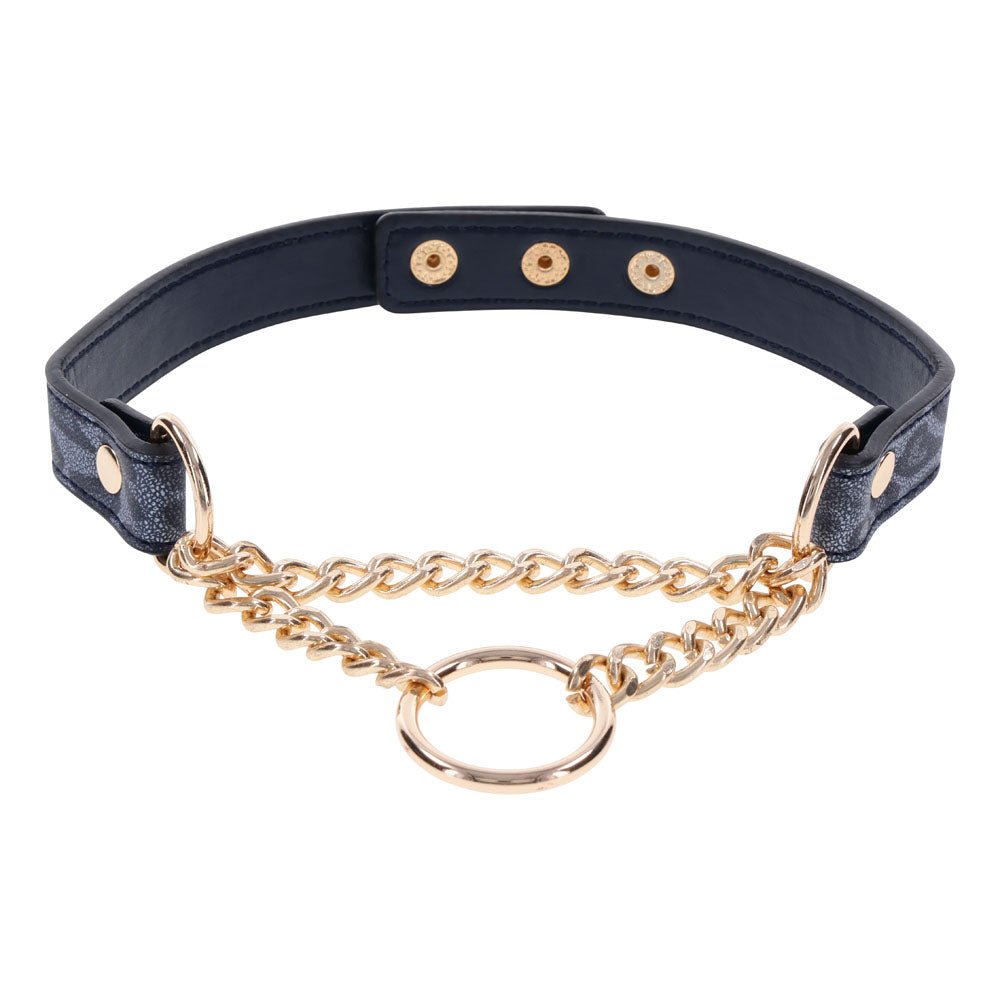 Sex & Mischief Cougar Day Collar - Navy Blue/Gold Collar - BONDAGE - TOYS