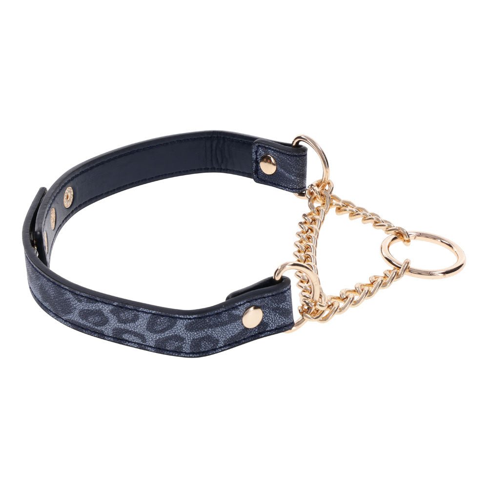 Sex & Mischief Cougar Day Collar - Navy Blue/Gold Collar - BONDAGE - TOYS