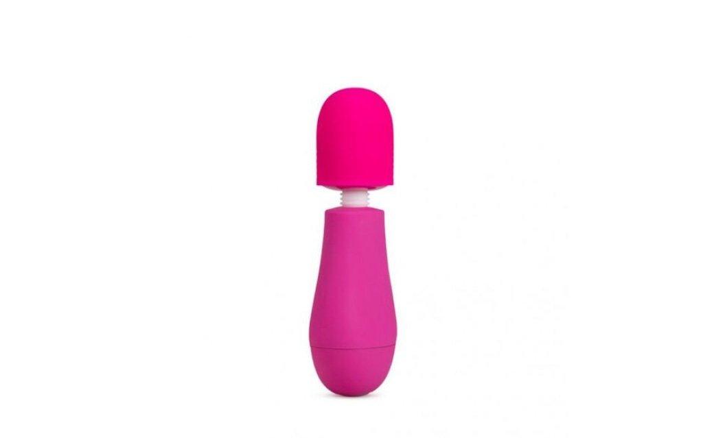 Rose Petite Massage Wand Pink - Adult Toys