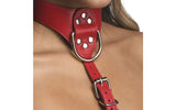 Red Female Chest Harness M/L