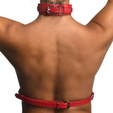 Red Female Chest Harness S/M