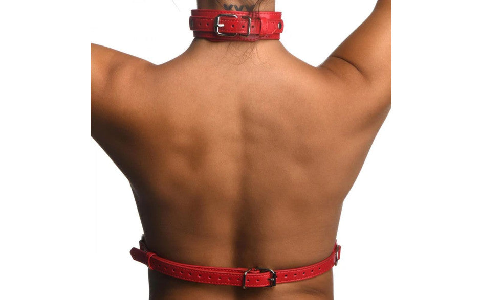 Red Female Chest Harness M/L