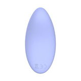 Destiny Vibrating Massager