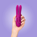 JimmyJane Solis Ascend 2 PRO - Purple USB Rechargeable Dual Tip Stimulator