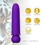 Maia JAGUAR - Purple 10.1 cm USB Rechargeable Bullet