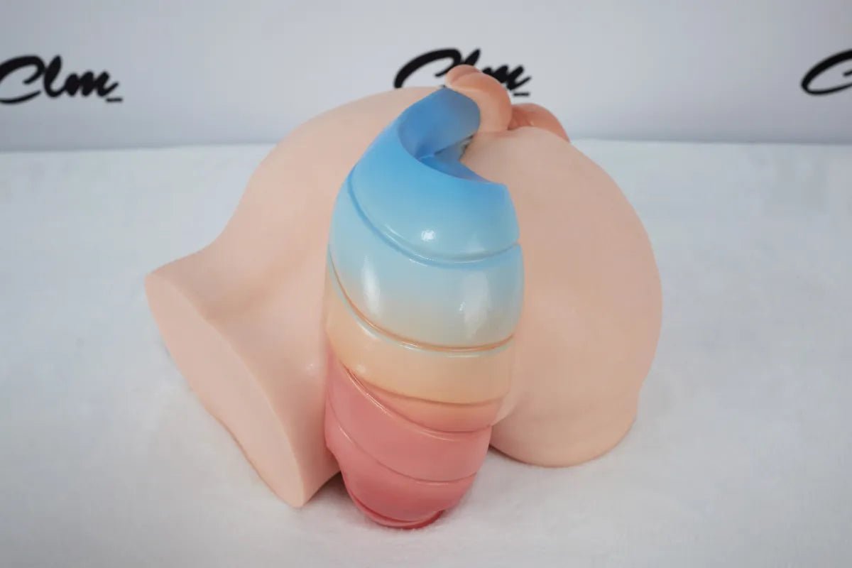 Anime Horse Tail Platinum Silicone Gradient Buttplug Torso - Sex Doll