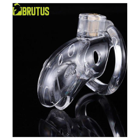 Brutus Shark Chastity Cage Clear - Adult Toys