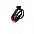 Centurion Size 2 Cock Cage with Pussification Plug - Adult Toys