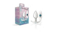 Cheeky Charms Silver Anchor Butt Plug w Clear and Pink Jewel Kit - Naughty by Nature Adult Store