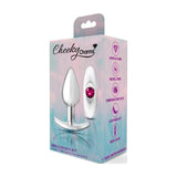 Cheeky Charms Silver Anchor Butt Plug w Clear and Teal Jewel Kit - Adult Toys