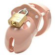 Cockcage Mr Stubb Pink - Adult Toys