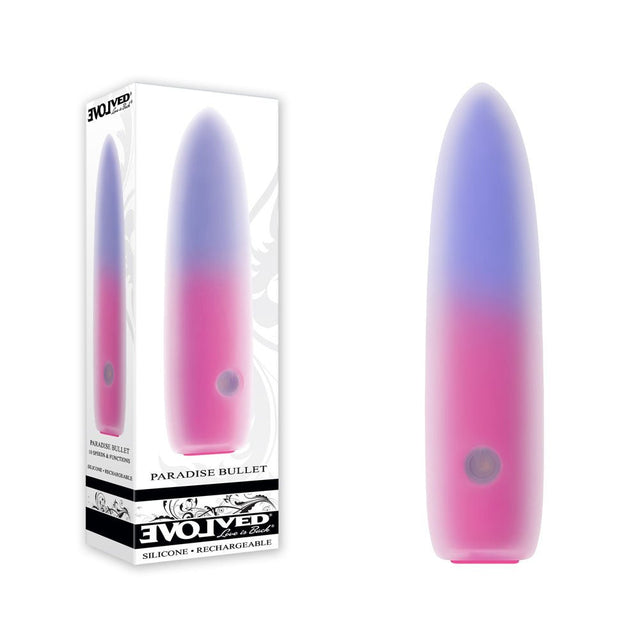 Evolved PARADISE BULLET - Pink/Purple 10.2 cm USB Rechargeable Bullet - BULLETS & EGGS