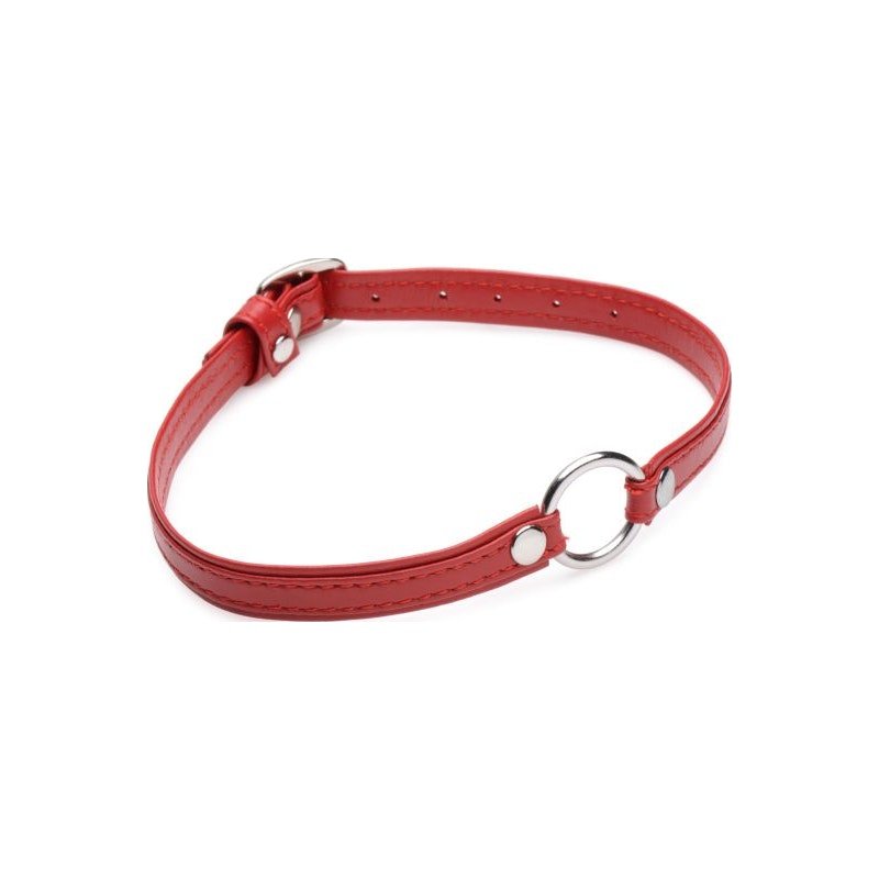 Fiery Pet Leather Choker w Silver Ring Red - Adult Toys