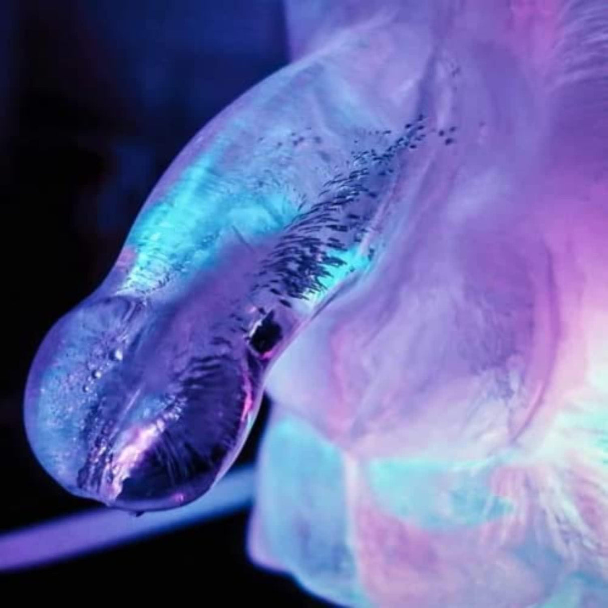 HUGE PENIS ICE LUGE - Novelties
