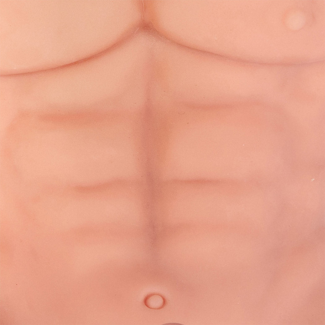 Male Sex Doll Torso With 8 Inch Dildo Muscular Abs Realistic TPE