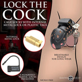 Lock Down Chastity Cage - Adult Toys