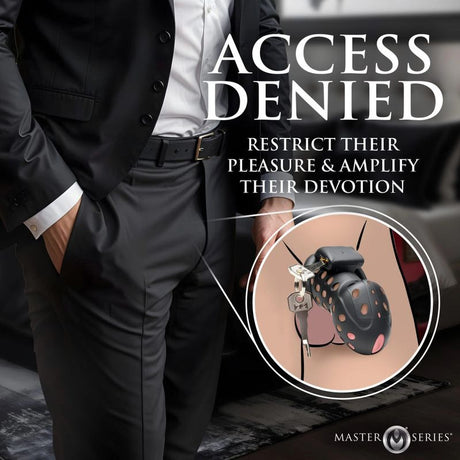 Lock Down Chastity Cage - Adult Toys