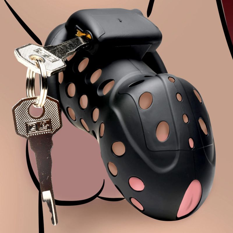 Lock Down Chastity Cage - Adult Toys
