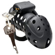 Lock Down Chastity Cage - Adult Toys