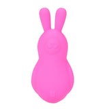Maia BRI - Pink Vibrating Bunny Bullet - BULLETS & EGGS