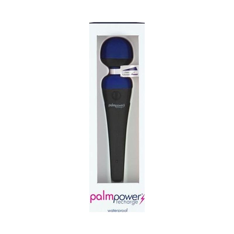 PalmPower Massage Wand Blue - Adult Toys