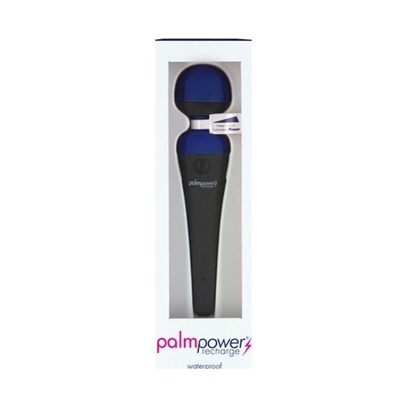 PalmPower Massage Wand Blue - Adult Toys