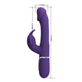 Party Up DAVID Swinging Vibe - Purple - VIBRATORS