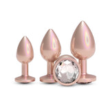 Rear Assets Trainer Kit - Iridescent Champagne Metallic Butt Plugs - Set of 3 Sizes - ANAL TOYS