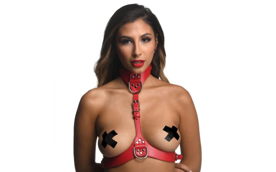 Red Female Chest Harness M/L - Adult Toys