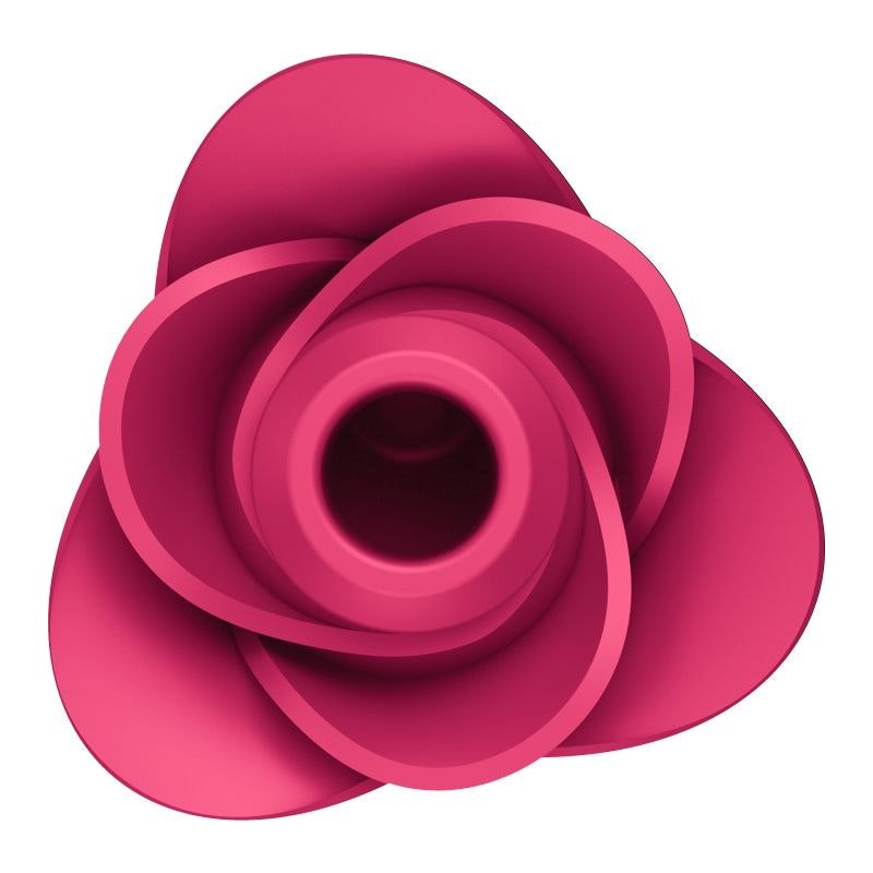 Satisfyer Pro 2 Modern Blossom Air Wave Clitoral Stimulator - Adult Toys