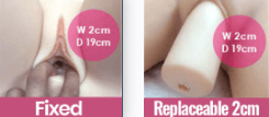 SEDOLL Sex Doll 158cm/5ft2 D - cup Jenny.J - Sex doll