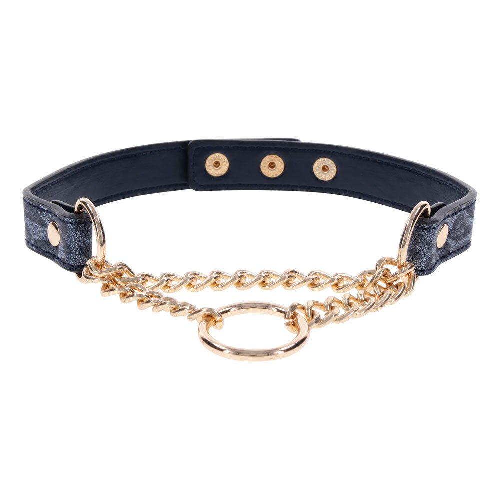 Sex & Mischief Cougar Day Collar - Navy Blue/Gold Collar - BONDAGE - TOYS