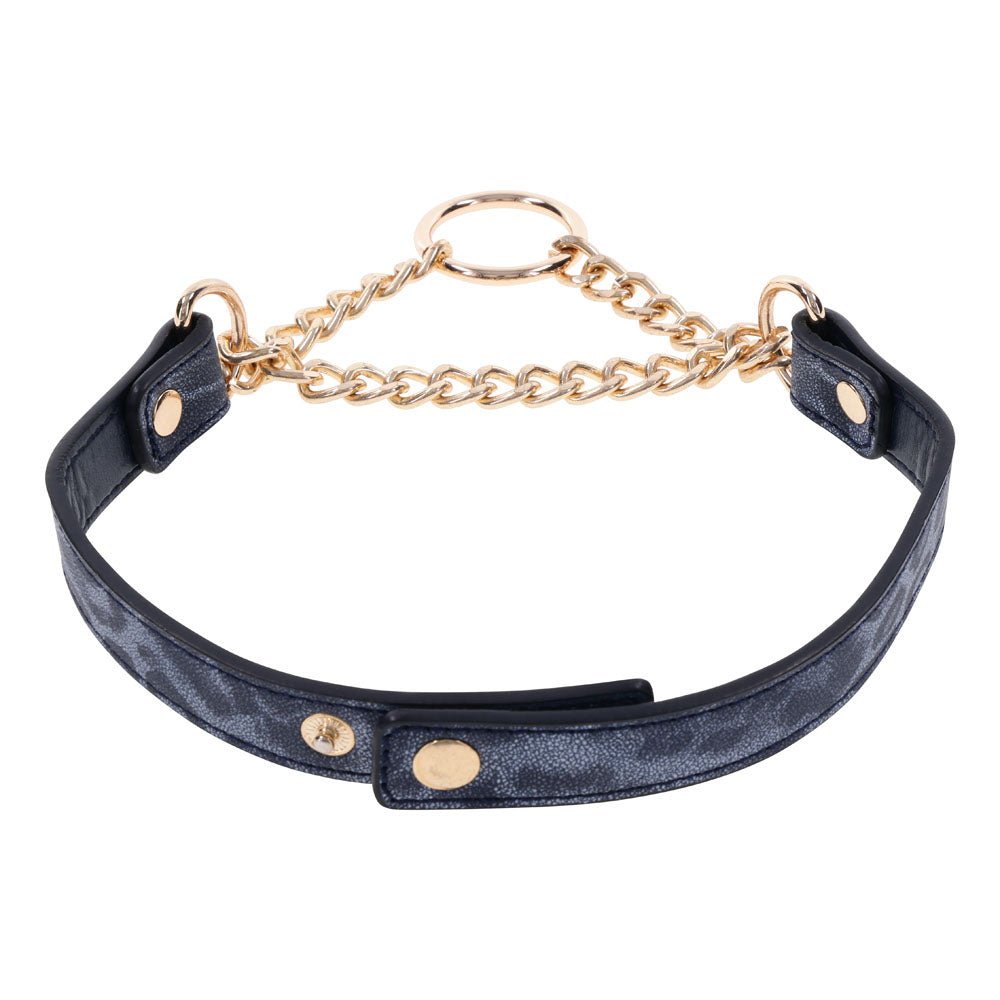 Sex & Mischief Cougar Day Collar - Navy Blue/Gold Collar - BONDAGE - TOYS