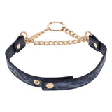 Sex & Mischief Cougar Day Collar - Navy Blue/Gold Collar - BONDAGE - TOYS