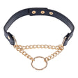 Sex & Mischief Cougar Day Collar - Navy Blue/Gold Collar - BONDAGE - TOYS