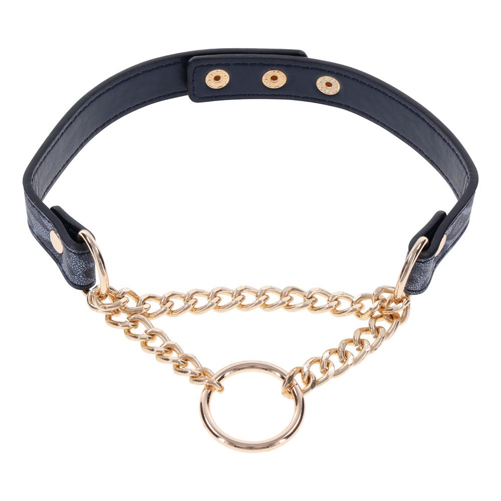 Sex & Mischief Cougar Day Collar - Navy Blue/Gold Collar - BONDAGE - TOYS