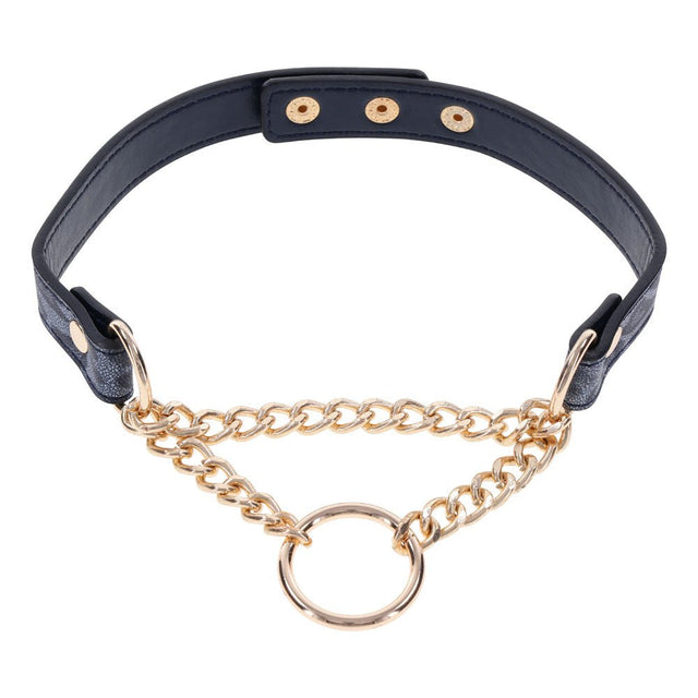 Sex & Mischief Cougar Day Collar - Navy Blue/Gold Collar - BONDAGE - TOYS