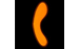 The Mini Swan Wand Glow Orange - Adult Toys