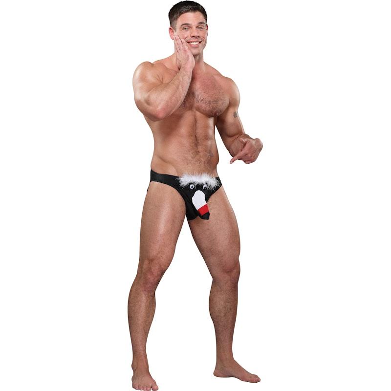 Toucan Bikini Novelty Underwear - Lingerie