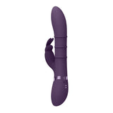 VIVE Sora - Purple 24.2 cm USB Rechargeable Rabbit Vibrator - VIBRATORS