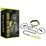 WhipSmart Glow In The Dark Collar with Nipple Clips & Leash - Naughty by Nature Adult Store