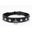 Bling Vixen Leather Choker w Clear Rhinestones - Naughty by Nature Adult Store