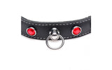 Bling Vixen Leather Choker w Red Rhinestones - Naughty by Nature Adult Store