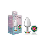 Cheeky Charms Silver Round Butt Plug w Rainbow Jewel Large - Naughty by Nature Adult Store