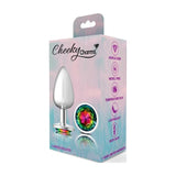 Cheeky Charms Silver Round Butt Plug w Rainbow Jewel Large - Naughty by Nature Adult Store