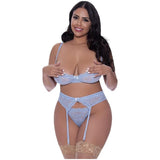 Demi Bra Garter and Thong Set - Lingerie