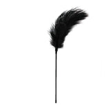 Feather Tickler Black - Naughty by Nature Adult Store