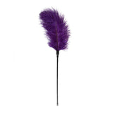 Fetish Collection Purple Feather Tickler – Intimate BDSM Tease Toy - Adult Toys