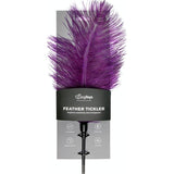 Fetish Collection Purple Feather Tickler – Intimate BDSM Tease Toy - Adult Toys